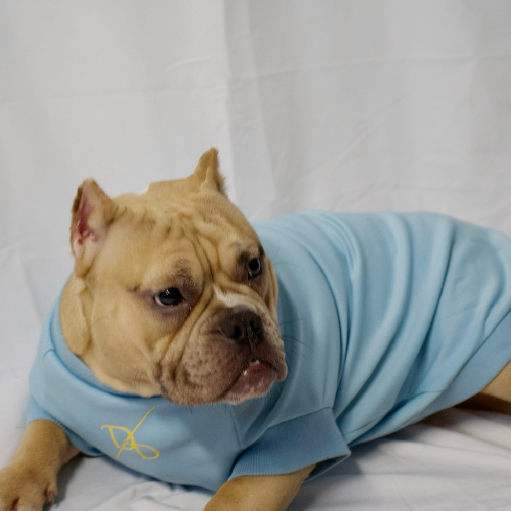 English Bulldog Clothing Pink and Blue - Picture 3 of 3